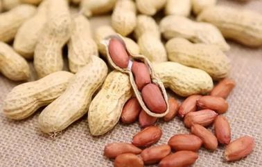 Goût croustillant de matériaux de texture dure Nuts crue originale d'arachides bon pour l'estomac