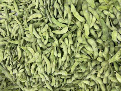 La VIANDE HALAL a certifié Edamame Beans congelé à haute valeur protéique