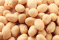 L'OEM entretiennent le casse-croûte enduit d'arachide, produits cachers d'arachides enduits par BBQ d'ail