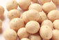 L'OEM entretiennent le casse-croûte enduit d'arachide, produits cachers d'arachides enduits par BBQ d'ail
