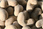 Texture dure de diverses vitamines de casse-croûte de noix de cajou rôtie par BBQ bonne pour la vue