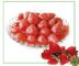 Conserve de fruits organique gelée délicieuse, fraises en boîte avec des certificats sanitaires