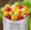 Conserve de fruits organique mélangé, goût régénérateur faible en calories de fruits en boîte de macédoine