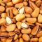 NON - goût croustillant Nuts poussé cru de GMO, pignons crus avec la certification de BRC