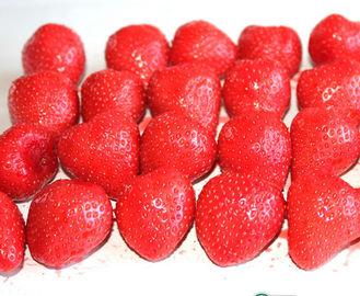 Saveur naturellement douce en boîte organique de fruit de fraise 2 ANS de durée de conservation