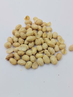 Soya grillé croustillant, sans coquille, légèrement salé, riche en protéines