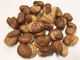 Casse-croûte salé de fèves, fèves rôties épicées saines aucun colorant
