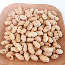 Kosher Halal certifié enduit rôti épicé jaune Edamame Snacks de haricots de soja ISO approuvé