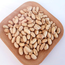Kosher Halal certifié enduit rôti épicé jaune Edamame Snacks de haricots de soja ISO approuvé