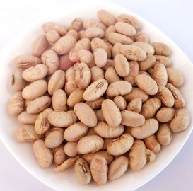 Kosher Halal certifié enduit rôti épicé jaune Edamame Snacks de haricots de soja ISO approuvé