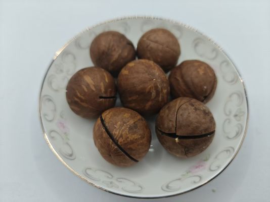 Noix de macadamie