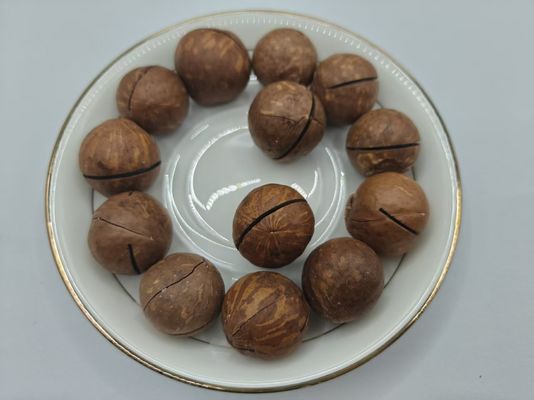 Noix de macadamie