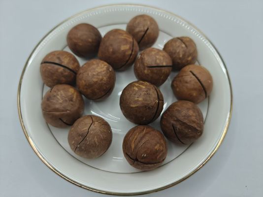 Noix de macadamie