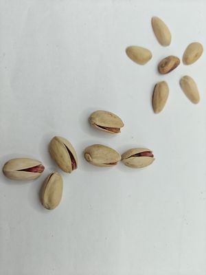 Échantillon Gratuit de Pistaches Grillées et Salées avec Coquille pour Satisfaire les Envies