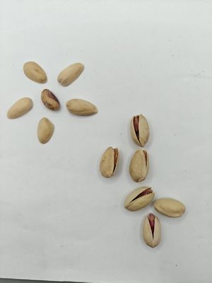 Échantillon Gratuit de Pistaches Grillées et Salées avec Coquille pour Satisfaire les Envies