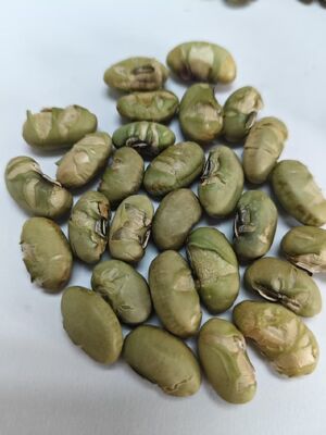 Croustillants Bio de Soja Bio, Snack Protéiné Riche en Nutriments, Idéal pour les Fabricants Alimentaires et les Produits Orientés Santé