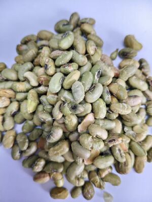 Date d'expiration 12 mois Snacks à base de soja cuits au four Cuisson croquante Options de collations nutritives Adaptées à l'achat en vrac