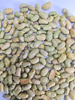 Croustilles de fèves de soja, style cuisson, croquantes, nutritives, végétales, riches en protéines, ingrédient idéal pour la fabrication alimentaire