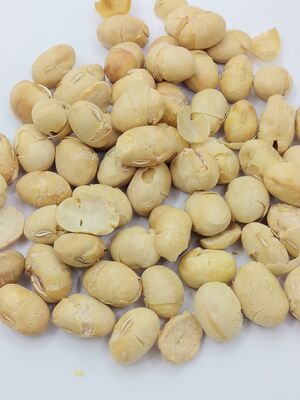 Soya grillé croustillant, sans coquille, légèrement salé, riche en protéines