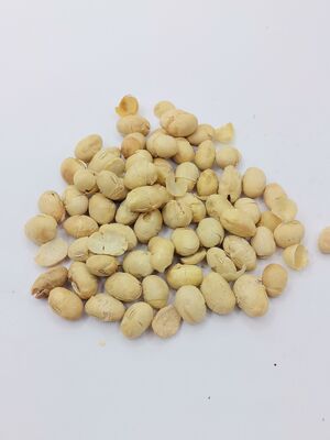 Soya grillé croustillant, sans coquille, légèrement salé, riche en protéines