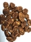 La saveur de cacao d'OEM de Vegan a enduit Fried Broad Bean Chips Crispy