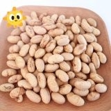 Kosher Halal certifié enduit rôti épicé jaune Edamame Snacks de haricots de soja ISO approuvé