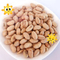L'OEM en bonne santé naturel a rôti le soja salé Bean Snacks Handpicked Vegan Beans