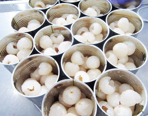 Soins de santé aucun conserve de fruits supplémentaire par sucre aucune durée de conservation faible en calories de colorant longue