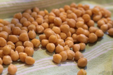 Casse-croûte rôti de pois chiches de poivre noir, nutritions élevées salées sèches de pois chiches