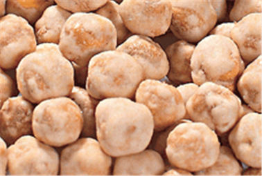 Casse-croûte rôti de pois chiches enduit par ail, produits cachers de pois chiches croquants croustillants