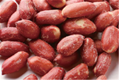 VIANDE HALAL Certifiaction de goût de grand de sucrerie de bière diverse noyau enduit rouge Nuts d'arachides