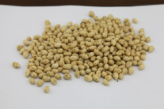 Graines de tournesol certifiées cachères casse-croûte, saveur délicieuse rôtie de noyaux de tournesol