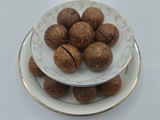 Noix de macadamie
