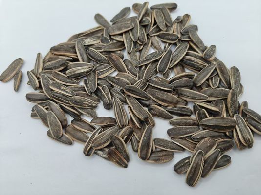 Graines de tournesol, vinaigre salé