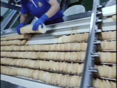 ligne de production de biscuits au riz sucré